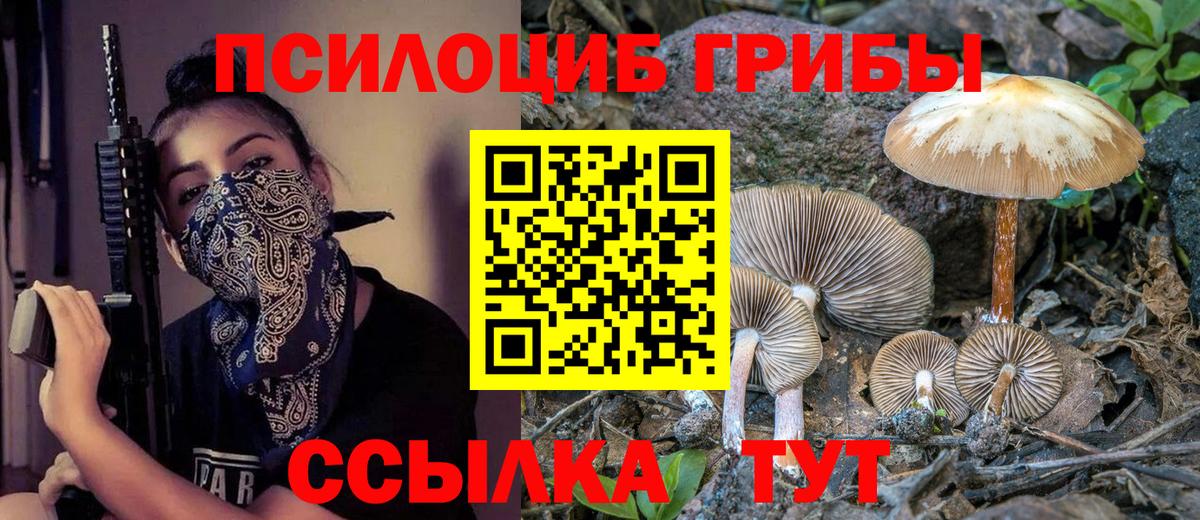 Псилоцибиновые грибы Psilocybine cubensis Североморск