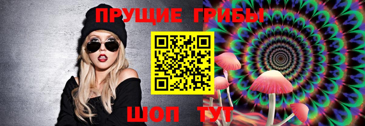 Североморск  Псилоцибиновые грибы Psilocybe  Вход с VPN  закладка  Галлюциногенные грибы Psilocybe 